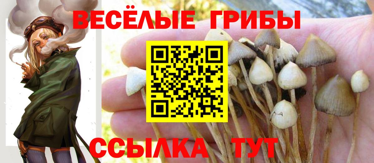Псилоцибиновые грибы MAGIC MUSHROOMS Владивосток